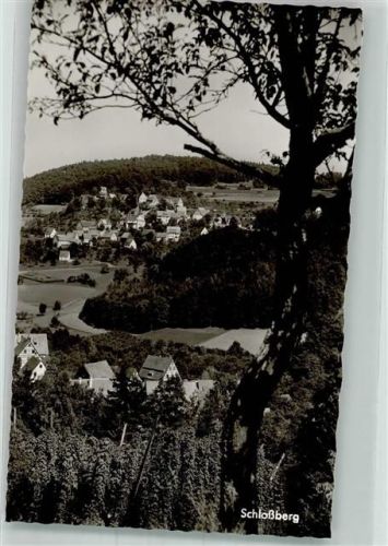 Schnaittach Schlossberg