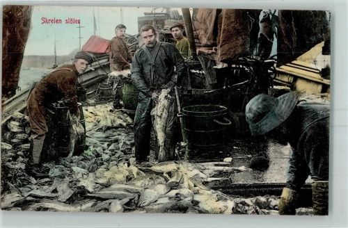 Skreien slöies Fische Schiff Fass Männer