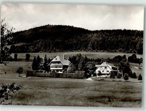 Schluchsee Pension und Schwarzwaldhaus Mattenhof