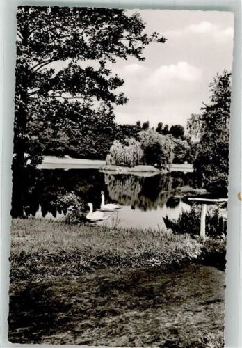 Werne 1959 Stadtsee Schwäne