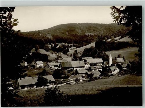 Bolsternang