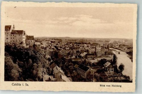 04680 O7241 Colditz Foto AK Schloss Burg