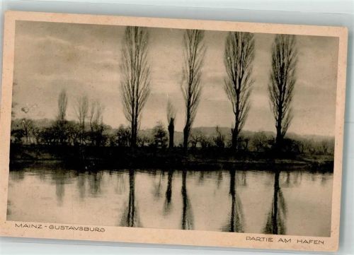 Ginsheim-Gustavsburg Pappeln am Hafen