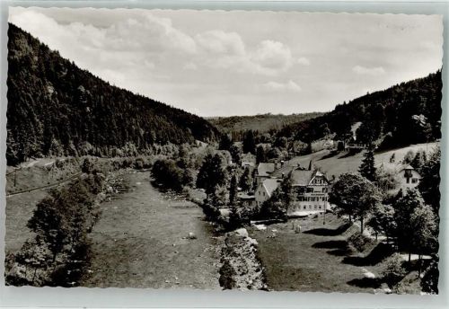 Schönmünzach