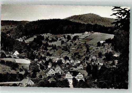 Schönmünzach