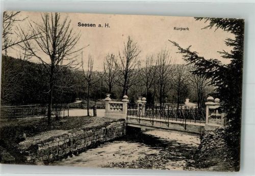 Seesen 1917 Kurpark