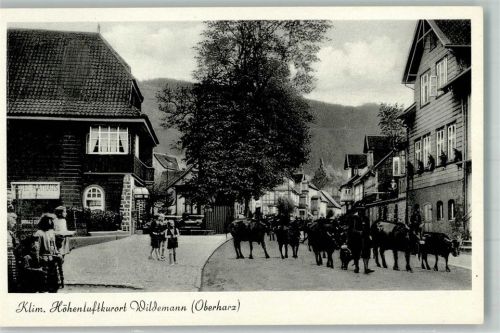 Wildemann Kühe Kinder