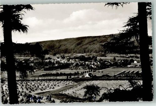 Lippoldsberg Panorama des Ortes an der Weser mit Klosterkirche St. Georg