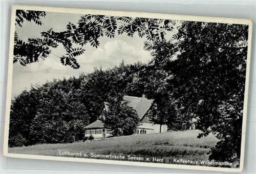 38723 W3370 Seesen , Harz - Gasthaus Kaffeehaus Wilhelmshöhe