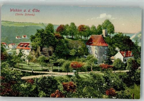 Wehlen Stadt Basteiweg mit Burgruine Wehlen Verlag Löffler & Co. 11523