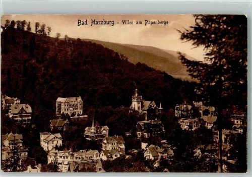 Bad Harzburg 1909 Villen am Papenberg Verlag Stengel & Co. 35442