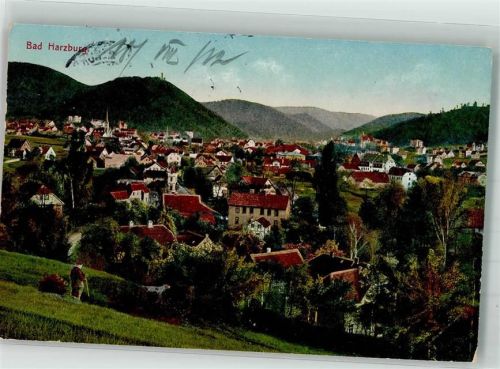 Bad Harzburg 1912 Panorama des Ortes Verlag Louis Glaser 4332