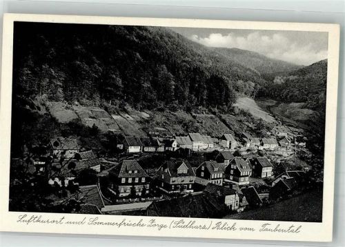 Zorge Panorama des Ortes Verlag Thoericht 14189