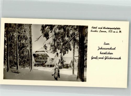 Kniebis Hotel Lamm Neujahr Winter