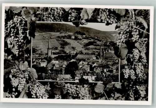 Neustadt Panorama des Ortes mit der Stiftskirche und der Marienkirche zwischen Weinreben