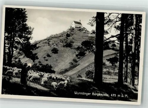 Rottenburg Wurmlinger Bergkapelle Schafe