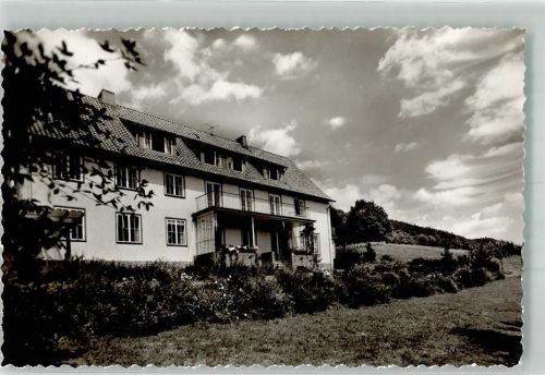 Rinteln Pension Weserberghaus