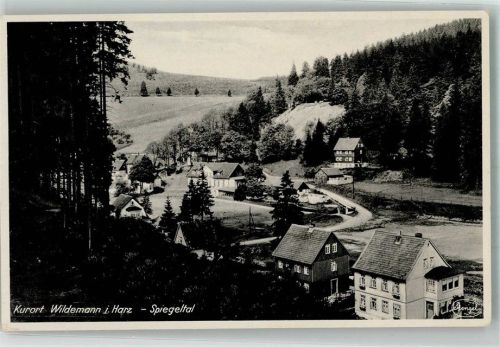 Wildemann Spiegeltal