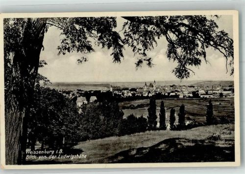 91781 W8832 Weißenburg i Bay - Panorama des Ortes mit der St.-Andreas-Kirche