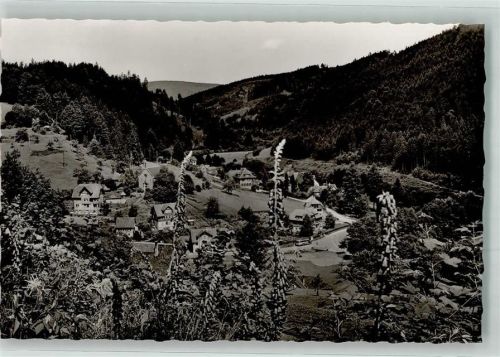 Schönmünzach