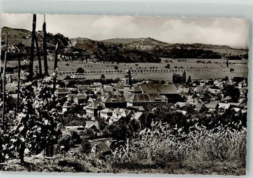 Osterhofen Panorama des Ortes Kirche St. Cyriak