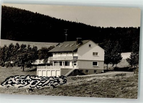 Usseln Haus Elfrede kühe Striche auf der Bildseite Ort handschriftlich
