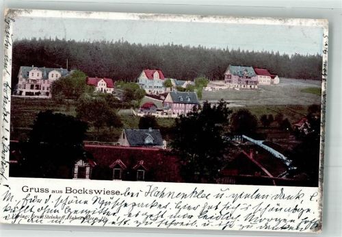 Hahnenklee-Bockswiese 1900 Panorama des Ortes