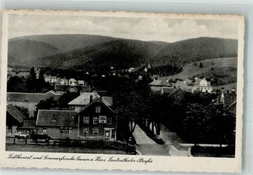 Seesen Lautenthaler Straße