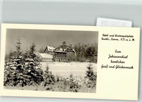 Kniebis Kurhotel Kniebis Lamm Neujahr