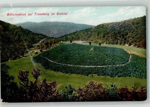 Treseburg 1911 Wilhelmsblick Hüttenstempel