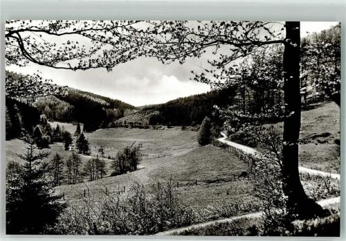 Willingen Blick ins Hoppecketal