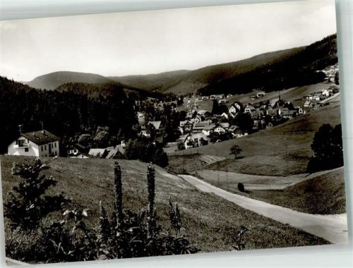 Buhlbach Panorama des Ortes mit Ev. Kirche