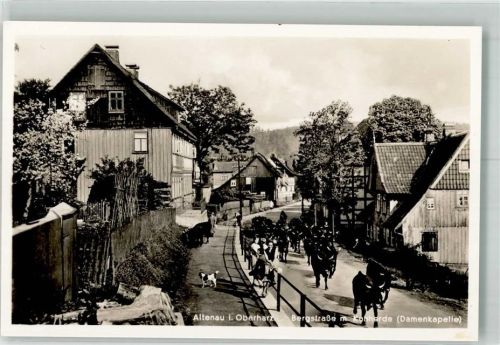 Altenau Viehtrieb durch die Bergstraße Fotograf Baste