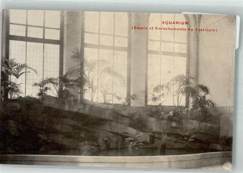Antwerpen Zoologischer Garten Wasserbecken mit Felsen im Aquarium