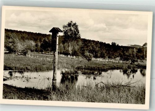 Villingen Neckarursprung im Schwenninger Moos Fotograf Vosseler