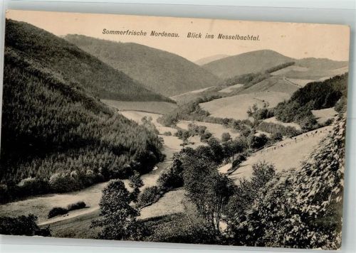 Nordenau Nesselbachtal