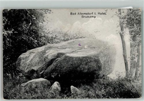 Albersdorf 1922 Der Brutkamp Bahnpost Neumünster-Heide