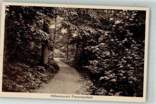Flammersfeld 1935 Waldweg Fotograf Heinrich Katzwinkel