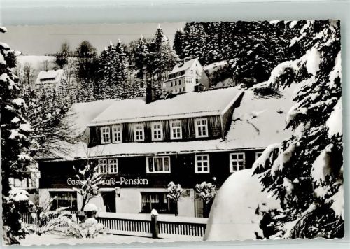 Willingen Winter Gasthaus Cafe Pension Sauerländer Hof