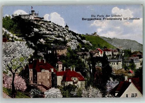 Niederlössnitz 1917 Gasthaus Friedensburg Feldpost WK I