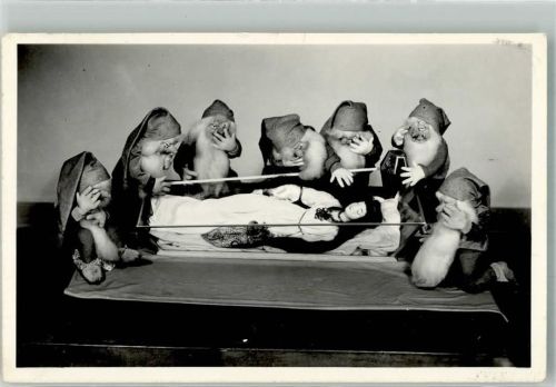 Sonneberg Deutsches Spielzeugmuseum gläserner Sarg u. 7 Zwerge v. Irmgard Reumann