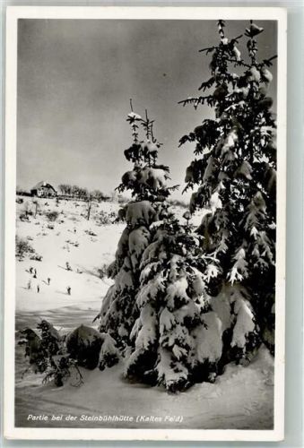 Bad Grund Winter Partie bei der Steinbühlhütte