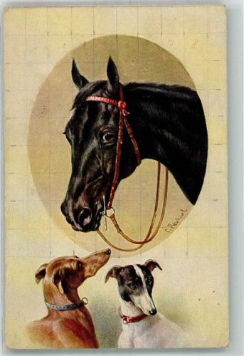 sign. Reichert C. Pferd Windhunde Magyar Agar Serie 1732