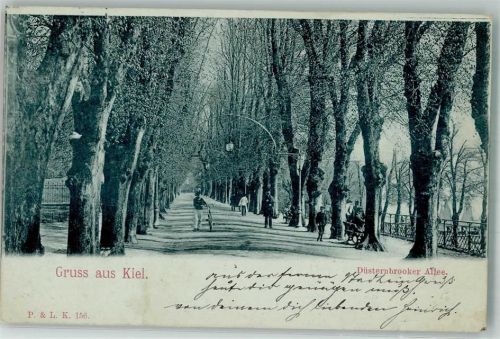 Düsternbrook 1899 Düsterbrooker Allee