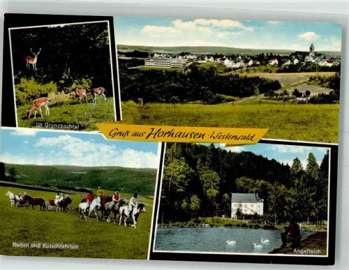 56593 W5453 Horhausen Westerwald - Reiter Angelteich