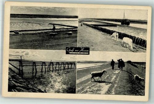 Husum 1941 Nordseeufer Deich Schafe Feldpost WK II