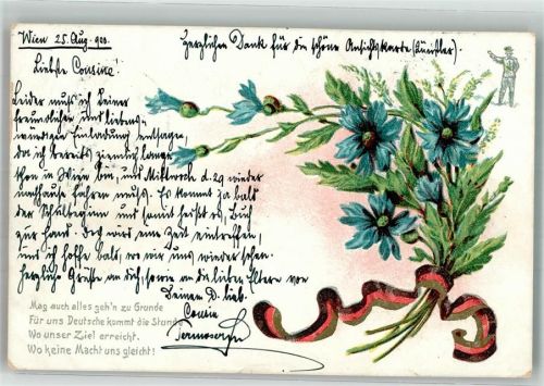 1900 Kornblumen