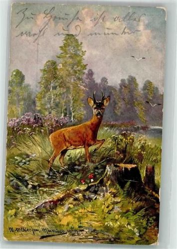 1911 Rehbock H.K. u. Co. M Serie 585