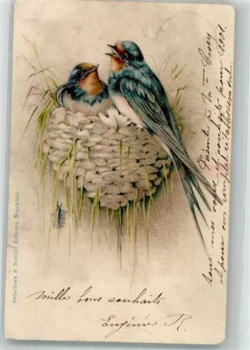 1901 Zwei Vögel in ihrem Nest Lithographie/Künstlerkarte