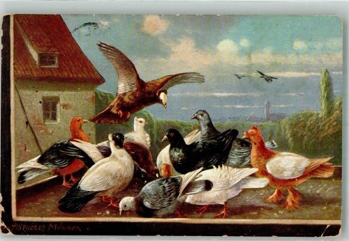 1916 Bunte Taubenschar beim picken Werbe AK Helbach's Künstlerkarten Rhenus Seife